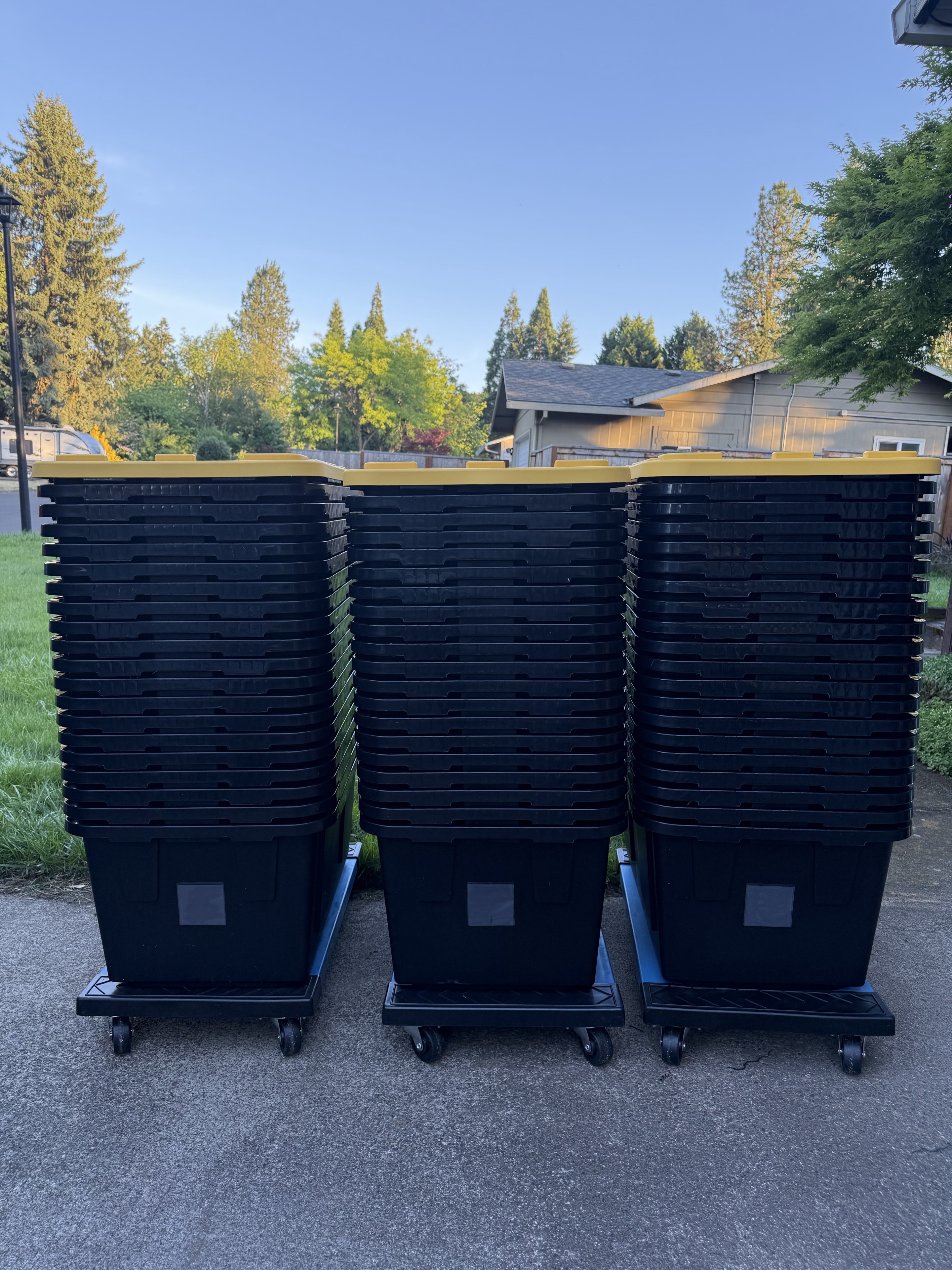 Three large stacks of Cascade totes organized on furniture dollies